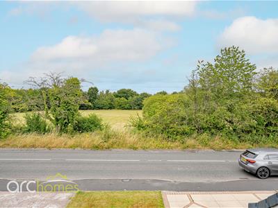 Picture 20
